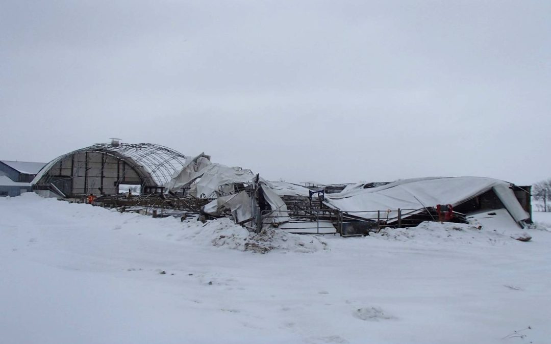 Dairy Barn Collapse