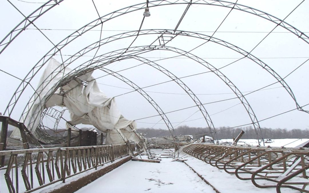 Dairy Barn Collapse 2
