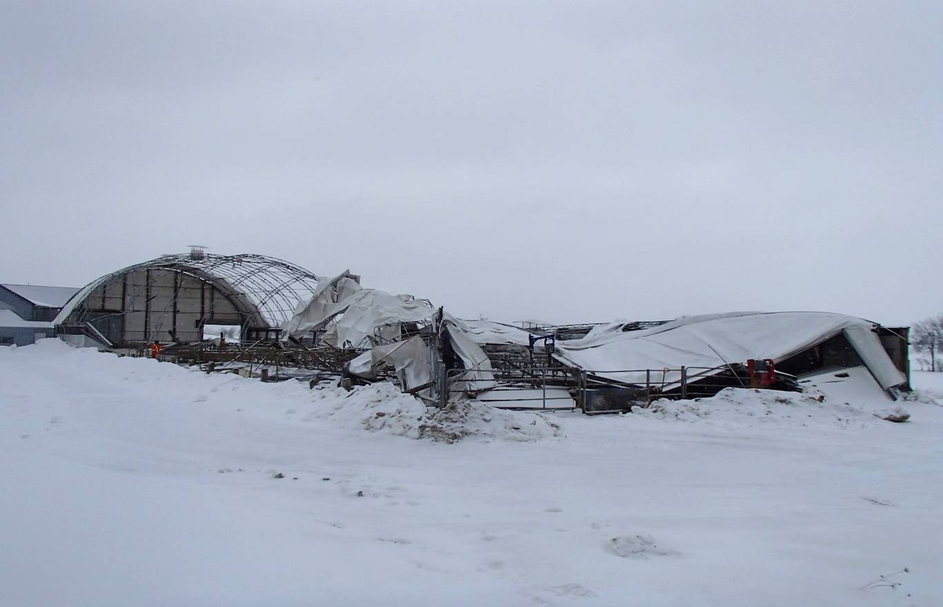 Dairy Barn Collapse
